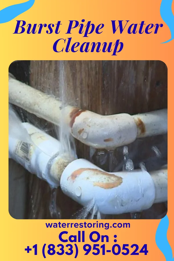 Burst Pipe Water Cleanup in Pine Haven, WY