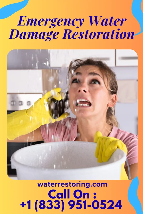 Emergency Water Damage Restoration in Pine Haven, WY